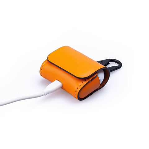 Bao da Airpods Pro Cases lethnic 